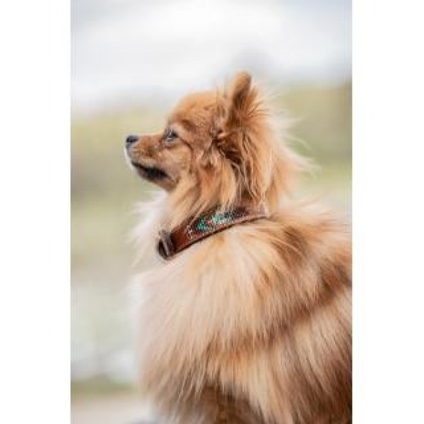 Ошейник Pearl, Penelope Франция, код 409820