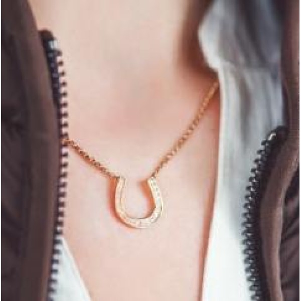 Колье Подкова с дорожкой Swarovski, позолота, EQUIMOON Россия, код EMN_00113 Колье Подкова с дорожкой Swarovski, позолота, EQUIMOON Россия, код EMN_00113