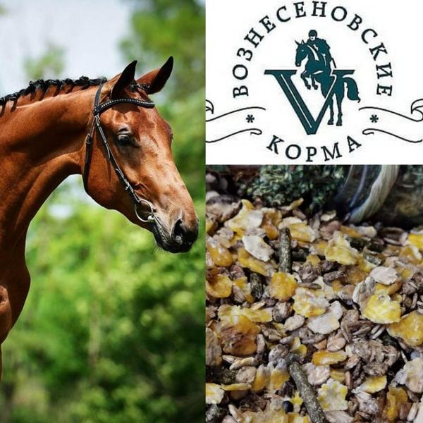 Classic-Sport без овса, 20 кг, Россия