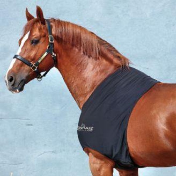 Защита для плеч эластичная Rambo Slinky Shoulder, Horsewear Ирландия, код ADAR8N Защита для плеч эластичная Rambo Slinky Shoulder, Horsewear Ирландия, код ADAR8N
